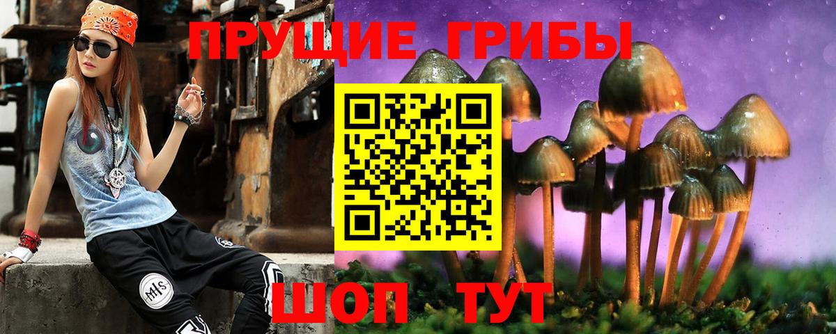 Самара  купить наркотики сайты  Вход с VPN  Псилоцибиновые грибы мухоморы 