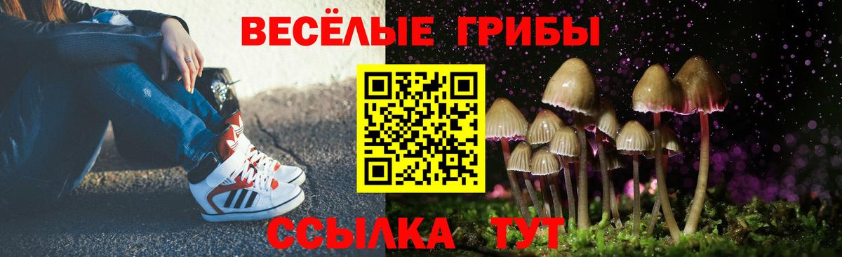 Галлюциногенные грибы MAGIC MUSHROOMS Самара
